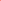 softchewy